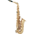 Arnolds & Sons AAS-300